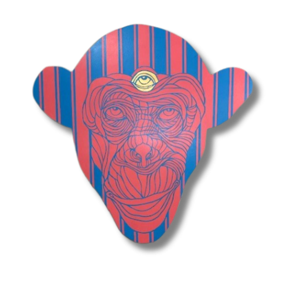 3rd eye monkey